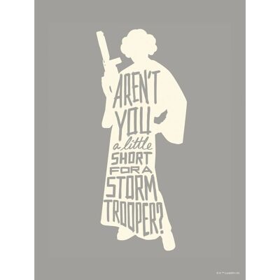 Komar Wandbild Star Wars Leia 30 x 40 cm gerollt Komar Wandbild Star Wars Leia 30 x 40 cm gerollt