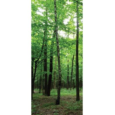 Sanders & Sanders Poster Bewaldete Landschaft Grün 90 x 202 cm 600829 Sanders & Sanders Poster Bewaldete Landschaft Grün 90 x 202 cm 600829