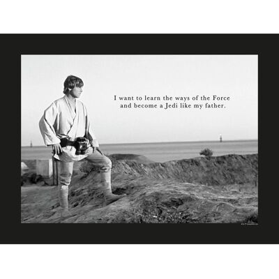 Disney Poster Star Wars Luke Skywalker Schwarz-Weiß 40 x 30 cm 610257 Disney Poster Star Wars Luke Skywalker Schwarz-Weiß 40 x 30 cm 610257