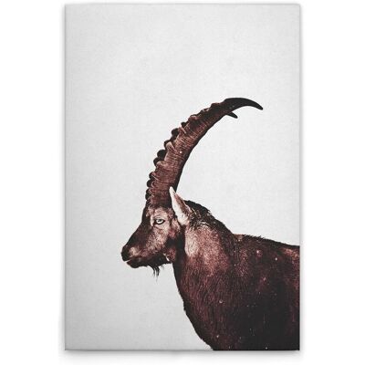 Tadessi Leinwandbild - M1-No.51117 - Tiere Steinbock - 40 x 60 cm - Querformat Tadessi Leinwandbild - M1-No.51117 - Tiere Steinbock - 40 x 60 cm - Querformat