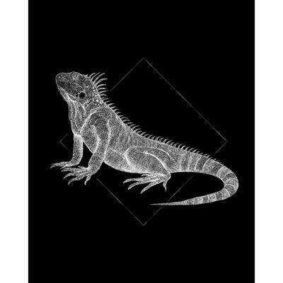 KOMAR Iguana Black - Tiere Poster - 70cm x 50cm KOMAR Iguana Black - Tiere Poster - 70cm x 50cm