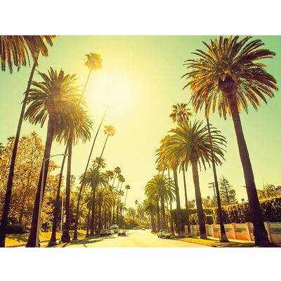 KOMAR - Palm Alley - 40x30 cm - Städte bunt - Poster KOMAR - Palm Alley - 40x30 cm - Städte bunt - Poster