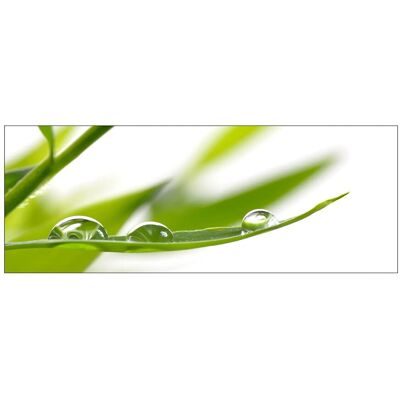 MySpotti Küchenrückwand Profix Cucina Dew Drop 160 x 60 cm Grasgrün MySpotti Küchenrückwand Profix Cucina Dew Drop 160 x 60 cm Grasgrün