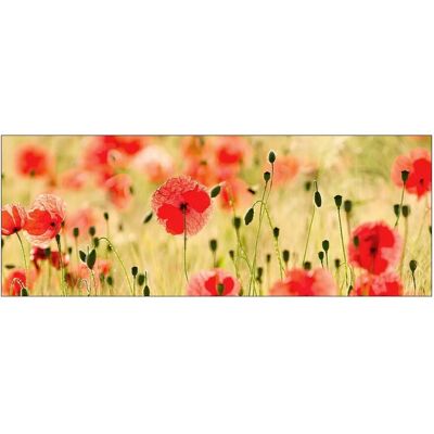 MySpotti Küchenrückwand Profix Cucina Mohnet 160 x 60 cm Mohnblüte MySpotti Küchenrückwand Profix Cucina Mohnet 160 x 60 cm Mohnblüte
