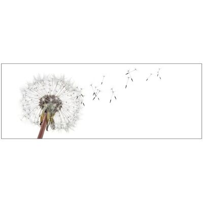 MySpotti Küchenrückwand Profix Cucina Dandelion 160 x 60 cm Weiß-Schwarz MySpotti Küchenrückwand Profix Cucina Dandelion 160 x 60 cm Weiß-Schwarz