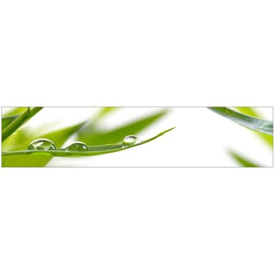 MySpotti Küchenrückwand Profix Cucina Dew Drop 270 x 60 cm Grasgrün MySpotti Küchenrückwand Profix Cucina Dew Drop 270 x 60 cm Grasgrün