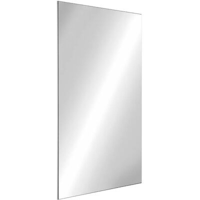 Delabie bruchsicherer Wandspiegel 11x595x980 mm spiegelpoliert. Delabie bruchsicherer Wandspiegel 11x595x980 mm spiegelpoliert.