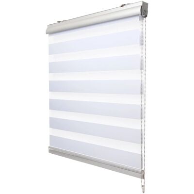 Sol Royal SolDecor DK9 Doppelrollo mit Kassette 140x220cm Weiß Sol Royal SolDecor DK9 Doppelrollo mit Kassette 140x220cm Weiß