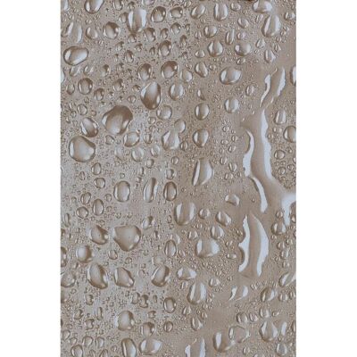 Euroshowers Duschvorhang Hochwertig Verarbeitet Mit 12 Duschvorhangringen Und Metallösen Euroshowers Duschvorhang Hochwertig Verarbeitet Mit 12 Duschvorhangringen Und Metallösen