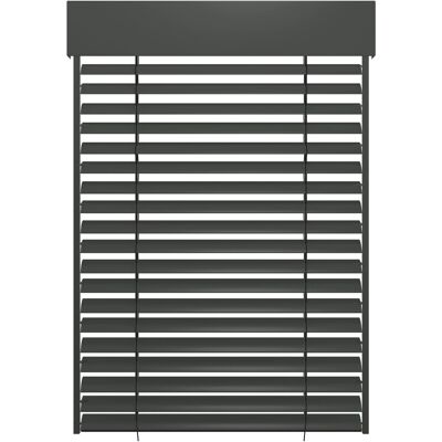 Schellenberg Sonnenschutz Raffstore Express mit Motor 120 cm x 260 cm Anthrazit Schellenberg Sonnenschutz Raffstore Express mit Motor 120 cm x 260 cm Anthrazit