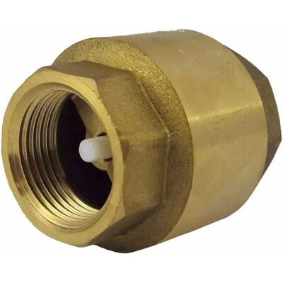 Boni-Shop Rückschlagventil mit Feder 3/4 Zoll Metall Gold Boni-Shop Rückschlagventil mit Feder 3/4 Zoll Metall Gold