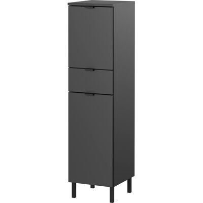 Germania Mediumschrank Arcena 1394 Graphit 30 cm x 120 cm x 34 cm Germania Mediumschrank Arcena 1394 Graphit 30 cm x 120 cm x 34 cm
