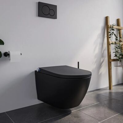 Bernstein DUSCH-WC PREMIUM 1102 Schwarz Matt Komplettset mit Entkalkungsfunktion Bernstein DUSCH-WC PREMIUM 1102 Schwarz Matt Komplettset mit Entkalkungsfunktion