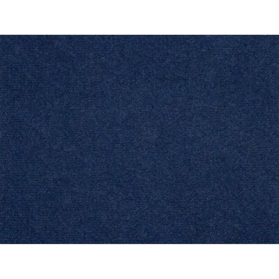 Andiamo Teppichboden Nadelfilz Milo Blau 200 cm x 1.000 cm Andiamo Teppichboden Nadelfilz Milo Blau 200 cm x 1.000 cm