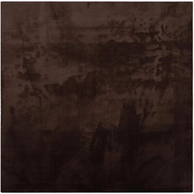 vidaXL Bereichsteppiche Quadratisch HUARTE Braun 160 x 160 cm 42022473 vidaXL Bereichsteppiche Quadratisch HUARTE Braun 160 x 160 cm 42022473