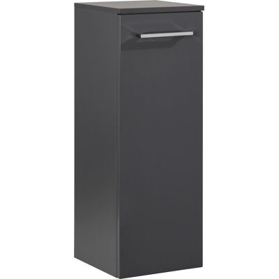 Fackelmann HYPE3.0 30 cm Schwarz/Anthrazit Midischrank Fackelmann HYPE3.0 30 cm Schwarz/Anthrazit Midischrank
