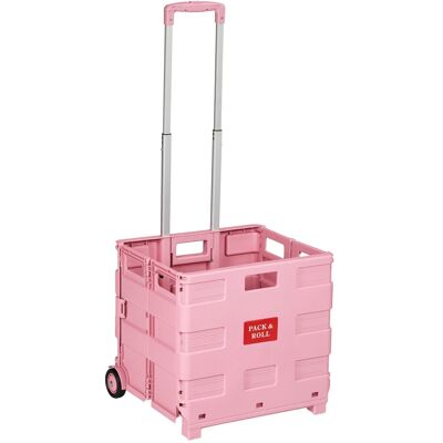 Relaxdays Einkaufstrolley Kunststoff Aluminium Rosa Klappbar Teleskopgriff 100 cm x 42 cm x 37 cm Relaxdays Einkaufstrolley Kunststoff Aluminium Rosa Klappbar Teleskopgriff 100 cm x 42 cm x 37 cm