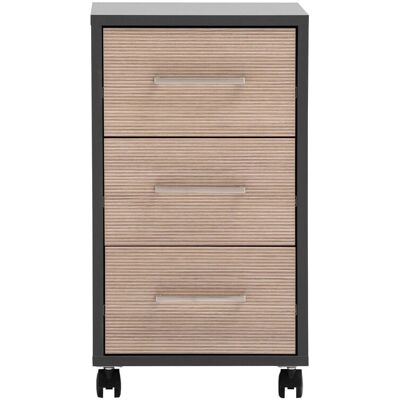 Schildmeyer Rollcontainer Metz 59,7 cm x 32,6 cm x 39,1 cm Anthrazit Canello Schildmeyer Rollcontainer Metz 59,7 cm x 32,6 cm x 39,1 cm Anthrazit Canello