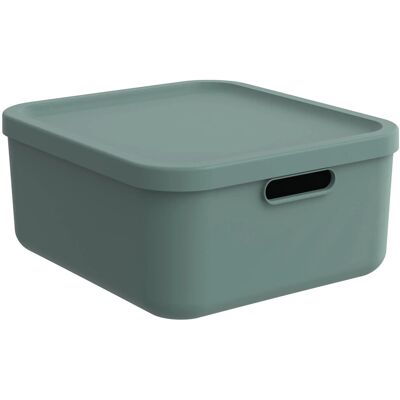 Rotho Multibox Albula 20, Mistletoe Green Rotho Multibox Albula 20, Mistletoe Green