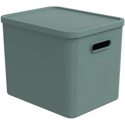 Rotho Multibox Albula für C4 Mistletoe Green 27, Rotho Multibox Albula für C4 Mistletoe Green 27,