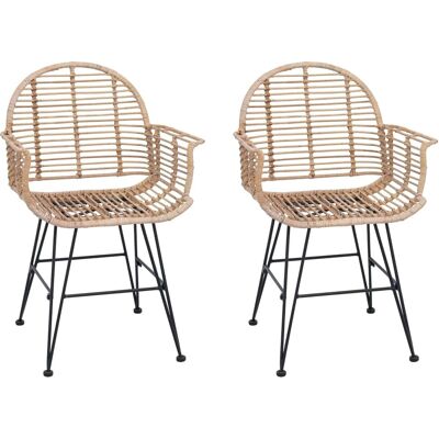 vidaXL Esszimmerstuhl 2 Stk Natur 44 x 44 x 74 cm Rattan und Eisen 42011558 vidaXL Esszimmerstuhl 2 Stk Natur 44 x 44 x 74 cm Rattan und Eisen 42011558