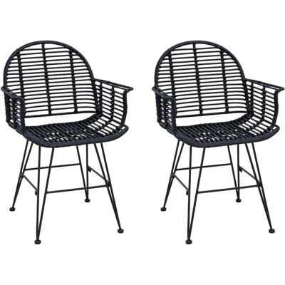 vidaXL Esszimmerstuhl 2 Stk Schwarz 44 x 44 x 74 cm Rattan und Eisen 42011559 vidaXL Esszimmerstuhl 2 Stk Schwarz 44 x 44 x 74 cm Rattan und Eisen 42011559
