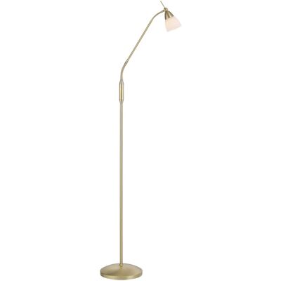 Paul Neuhaus Pino Messing Stehlampe mit Touchdimmer - Stehlampe Paul Neuhaus Pino Messing Stehlampe mit Touchdimmer - Stehlampe