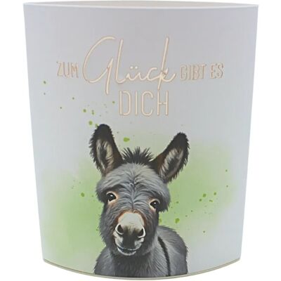 Dekohelden24 Dekolicht mit Timer 6/18 h Batteriebetrieben2xAA L/B/H 13 x 5 x 16 cm Dekohelden24 Dekolicht mit Timer 6/18 h Batteriebetrieben2xAA L/B/H 13 x 5 x 16 cm
