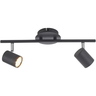 Paul Neuhaus 11942-13 - Deckenleuchte - Anthrazit - 2-flammig LED-Lampe Paul Neuhaus 11942-13 - Deckenleuchte - Anthrazit - 2-flammig LED-Lampe