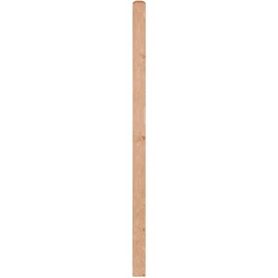 Andrewex Zaunpfosten Quadra natur 9 cm x 9 cm x 185 cm Natur Lackiert Andrewex Zaunpfosten Quadra natur 9 cm x 9 cm x 185 cm Natur Lackiert