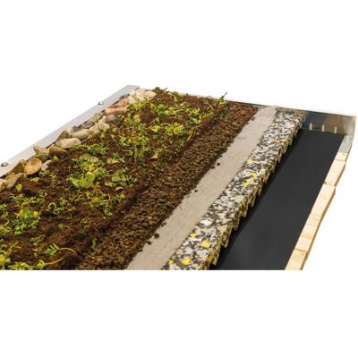 SKANHOLZ - Dachbegrünung - beige - 350x600 SKANHOLZ - Dachbegrünung - beige - 350x600