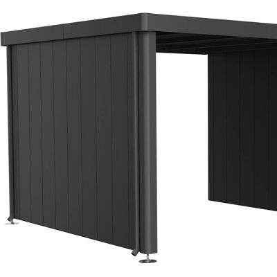 BIOHORT Gartenschuppen Seitenwand - Neo 3A-3D - Stahl, Dunkelgrau BIOHORT Gartenschuppen Seitenwand - Neo 3A-3D - Stahl, Dunkelgrau