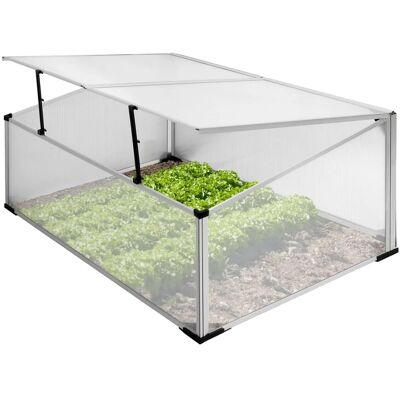 ECD Germany Alu Frühbeet Gewächshaus mit Zweiteiliges Dach 100x60x40 cm ECD Germany Alu Frühbeet Gewächshaus mit Zweiteiliges Dach 100x60x40 cm