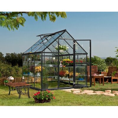 Palram Canopia Harmony Grau Gewächshaus 6x6 Palram Canopia Harmony Grau Gewächshaus 6x6