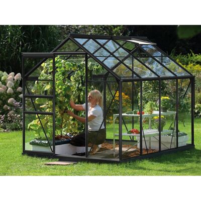 VITAVIA Venus 5000 Gewächshaus, schwarz, 195x197x257 cm VITAVIA Venus 5000 Gewächshaus, schwarz, 195x197x257 cm