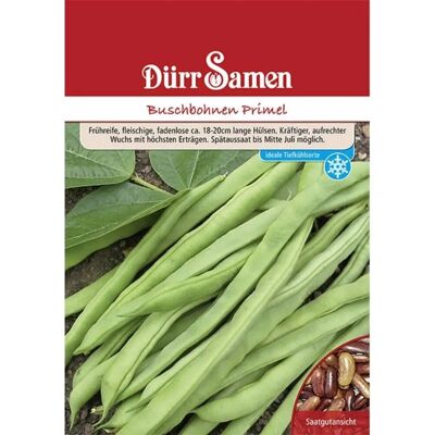 Dürr Samen Buschbohnen Primel 250 G Saatgut Dürr Samen Buschbohnen Primel 250 G Saatgut