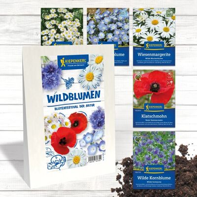 Kiepenkerl Blumensamen-Set Wildblumen 'Blütenfestival der Natur' Kiepenkerl Blumensamen-Set Wildblumen 'Blütenfestival der Natur'