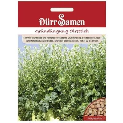 Dürr Samen Gründüngung Ölrettich 1 Kg Saatgut Dürr Samen Gründüngung Ölrettich 1 Kg Saatgut