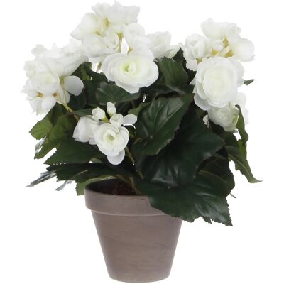 Mica Decorations Begonia Kunstpflanze in Topf - H30 xØ25 cm - Weiß Mica Decorations Begonia Kunstpflanze in Topf - H30 xØ25 cm - Weiß