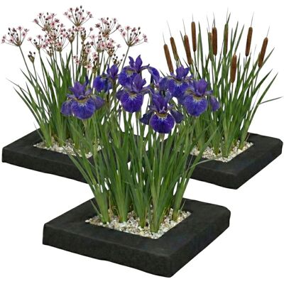 Vdvelde Teich Pflanzeninsel Set 3 Teilig Komplettset Mit 12 Wasserpflanzen Vdvelde Teich Pflanzeninsel Set 3 Teilig Komplettset Mit 12 Wasserpflanzen
