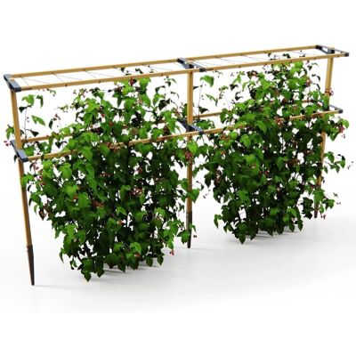 Gusta Garden Rankhilfe Berry Buddy Höhe 240 cm Gusta Garden Rankhilfe Berry Buddy Höhe 240 cm