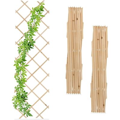 RELAXDAYS - Rampicanti Allungabile 180x60 cm - 180x60 cm - Naturhartholz Fichte - Garten Spalttrellis RELAXDAYS - Rampicanti Allungabile 180x60 cm - 180x60 cm - Naturhartholz Fichte - Garten Spalttrellis