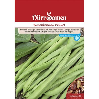 Dürr Samen Buschbohnen Primel 250 G Saatgut Dürr Samen Buschbohnen Primel 250 G Saatgut