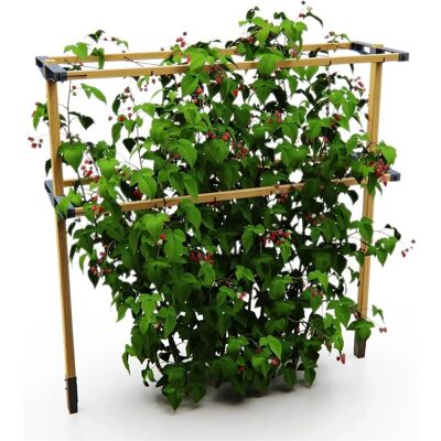 Gusta Garden Rankhilfe Berry Buddy Höhe 600 cm Gusta Garden Rankhilfe Berry Buddy Höhe 600 cm