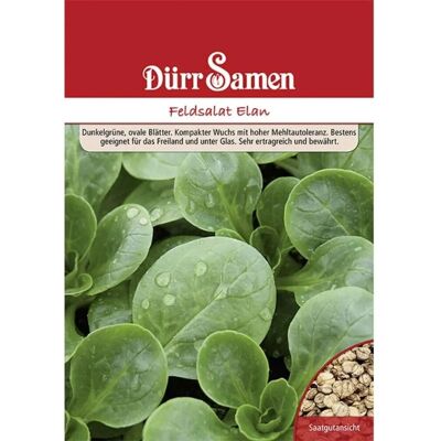 Dürr Samen Feldsalat Elan 250 G Saatgut Dürr Samen Feldsalat Elan 250 G Saatgut