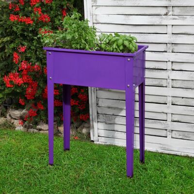 Floraworld Saison Lila Hochbeet - Hochbeet Floraworld Saison Lila Hochbeet - Hochbeet