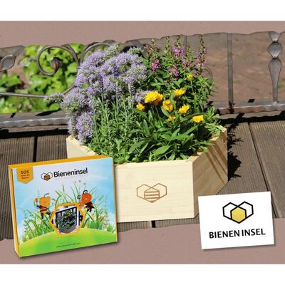 Proflora Bieneninsel - Großes Pflanzset mit Holzwabe - Futteroase für Bienen und Insekten Proflora Bieneninsel - Großes Pflanzset mit Holzwabe - Futteroase für Bienen und Insekten