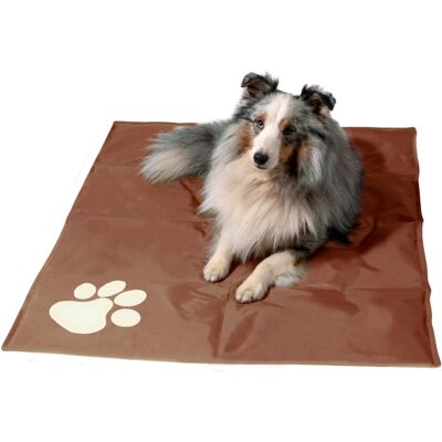 DOBAR Hundematte - Selbstkühlend, Aktives Gel, Für Kleine und Mittlere Hunde DOBAR Hundematte - Selbstkühlend, Aktives Gel, Für Kleine und Mittlere Hunde