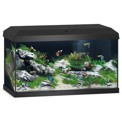 Juwel Aquarium Primo 60 LED 2.0 Schwarz Juwel Aquarium Primo 60 LED 2.0 Schwarz
