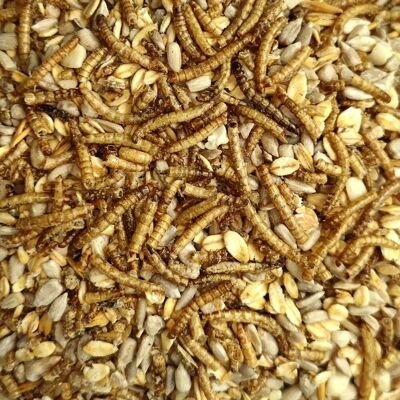 Klasebo Vogelfutter Mit Mehlwürmern 20 kg Für Wildvögel Klasebo Vogelfutter Mit Mehlwürmern 20 kg Für Wildvögel